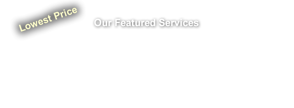 TREE TRIMMING, TREE REMOVAL, TREE PLANTING, TREE TRANSPLANTING, TREE PRUNING, FINE PRUNING, STUMP GRINDING AND REMOVAL, PALM TRIMMING, PALM SKINNING, LOT CLEARING, LAWN MAINTENANCE